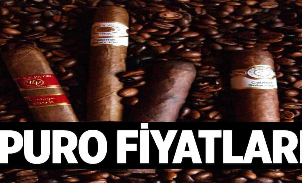 Puro Fiyatlari 1024x622fkW.jpg