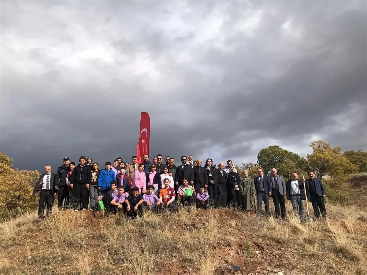 cumhuriyet icin 102 fidan dikildi rCDVwC4G.jpg