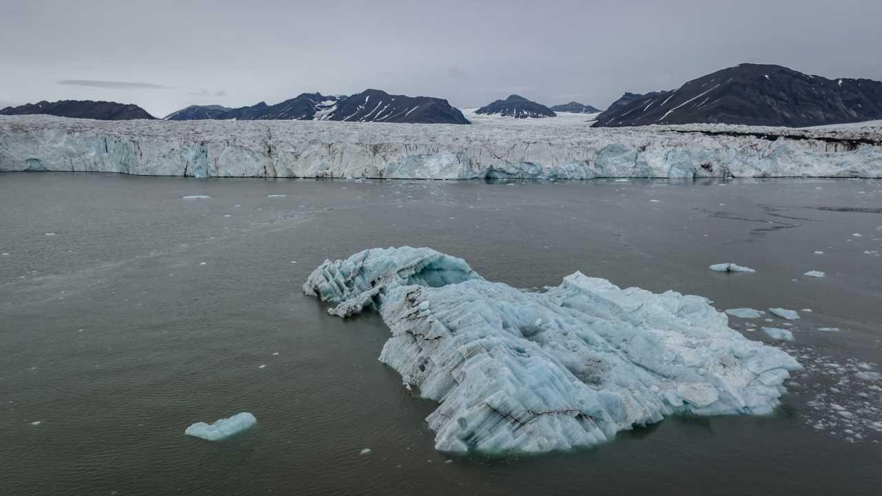 baliklarin yaptigi geometrik desenler kesfedildi cZjziSsc.webp
