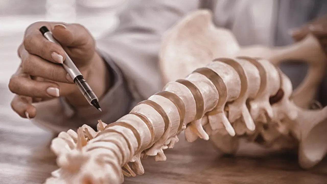 uzmani cocukluk caginda belde leke veya tuylenmeye karsi uyardi PHdBl4Gb.jpg