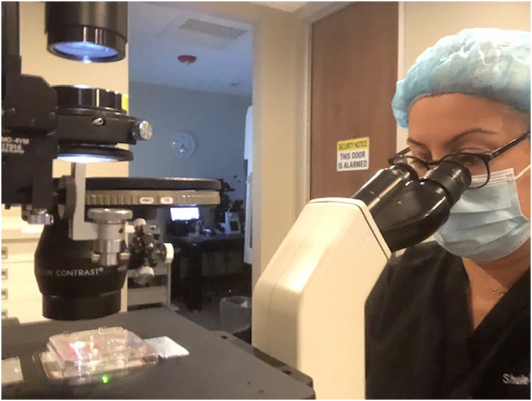 Türk Kadınının ABD Tüp Bebek Sektöründeki Başarısı